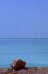dead sea